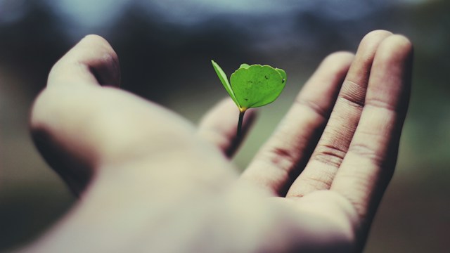 Sentido de vida: o que Viktor Frankl pode nos ensinar?